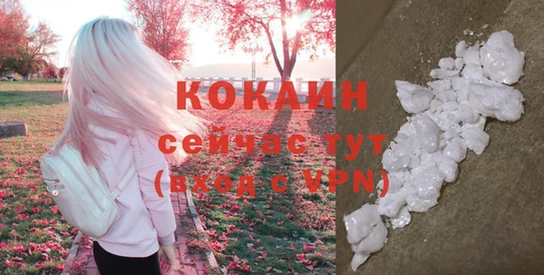 молекула духа Новодвинск